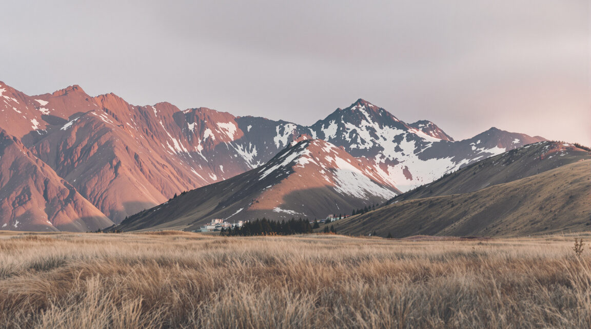 découvrez nos meilleures recettes de courge et potimarron pour réchauffer vos repas d'automne avec des saveurs gourmandes et de saison.
