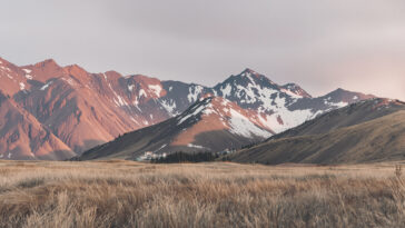 découvrez nos meilleures recettes de courge et potimarron pour réchauffer vos repas d'automne avec des saveurs gourmandes et de saison.