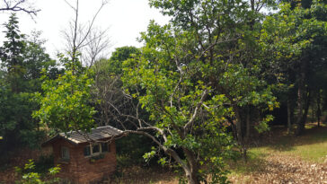 découvrez notre sélection des meilleurs livres de développement personnel pour transformer votre vie, renforcer votre confiance en vous et atteindre vos objectifs.